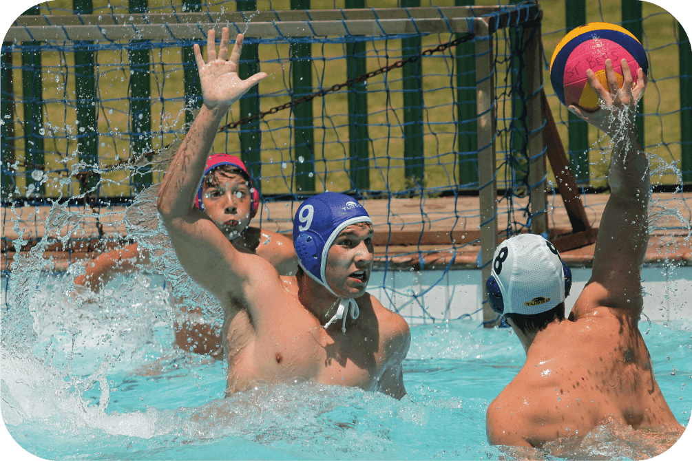 USA Water Polo preview image